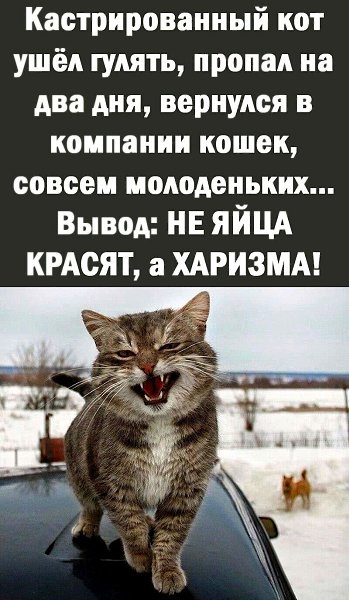 ***Victoria Viktorovna*** - 5  2022  03:19