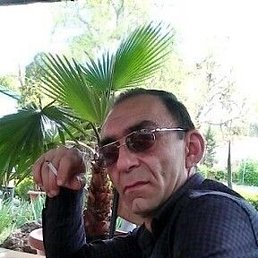 �������, ������, 49 ���