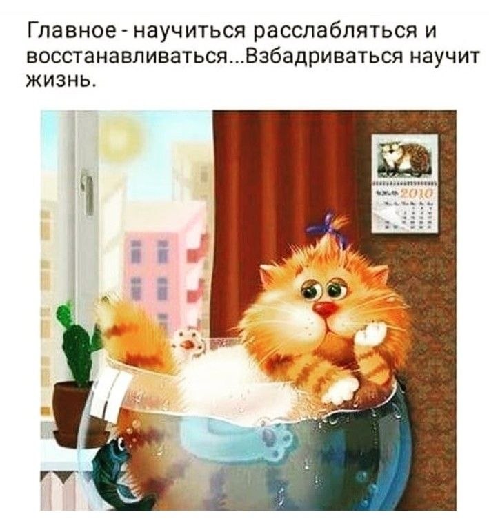   - 22  2022  15:11