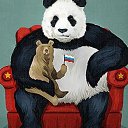 ���� ����, ���, 44 ���� - ��������� 2 ���� 2022 � ������ ���� ����������