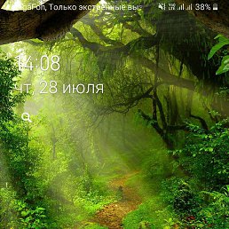 ��������, ������, 55 ���