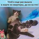 ���� ��������, ����� - ��������� 20 ������ 2022 � ������ ���� ����������