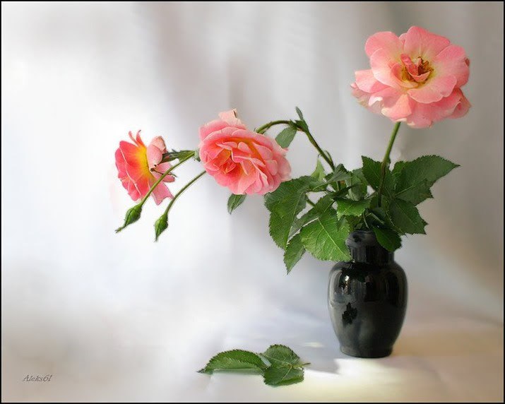 ПРИВЕТСТВИЯ и ПОЖЕЛАНИЯ, открытки на каждый день. - 1 мая 2022 в 16:21