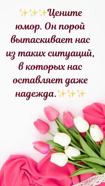   - 19  2022  07:39
