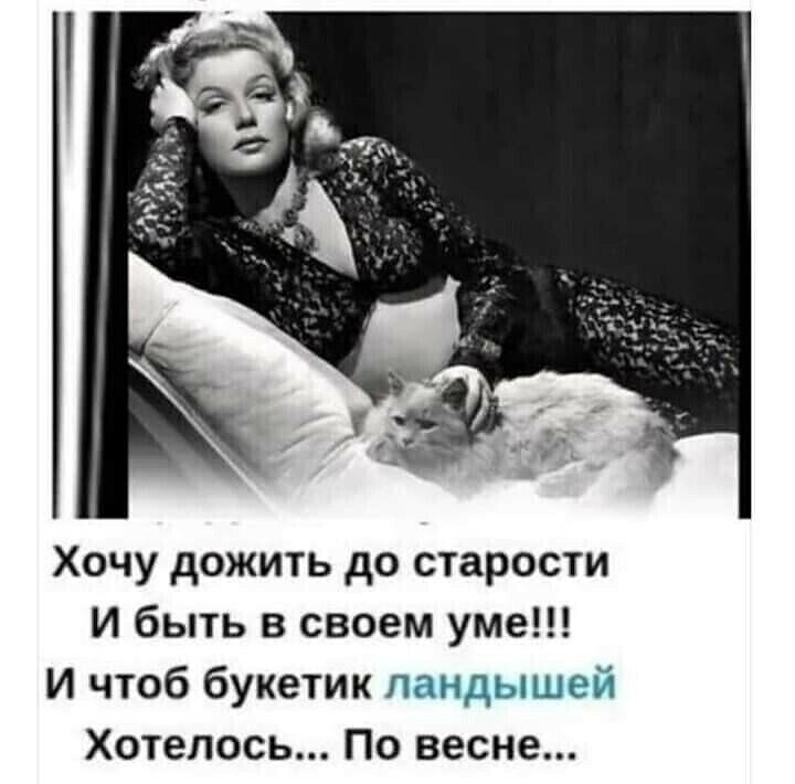  - 8  2023  21:12