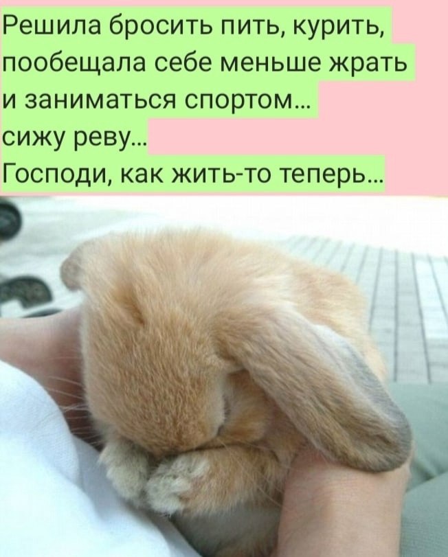   :D - 25  2022  09:33