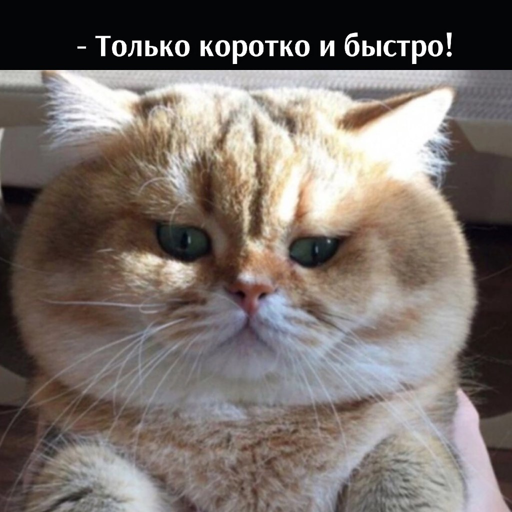      - 16  2022  13:06 - 2