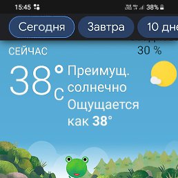 ������, �������, 48 ���