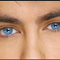 ��������, �������, 56 ���