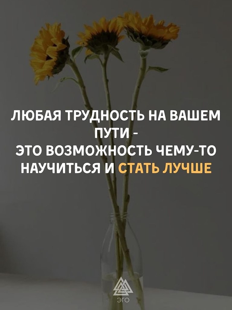  -   .
