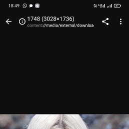 ����, ������, 46 ���