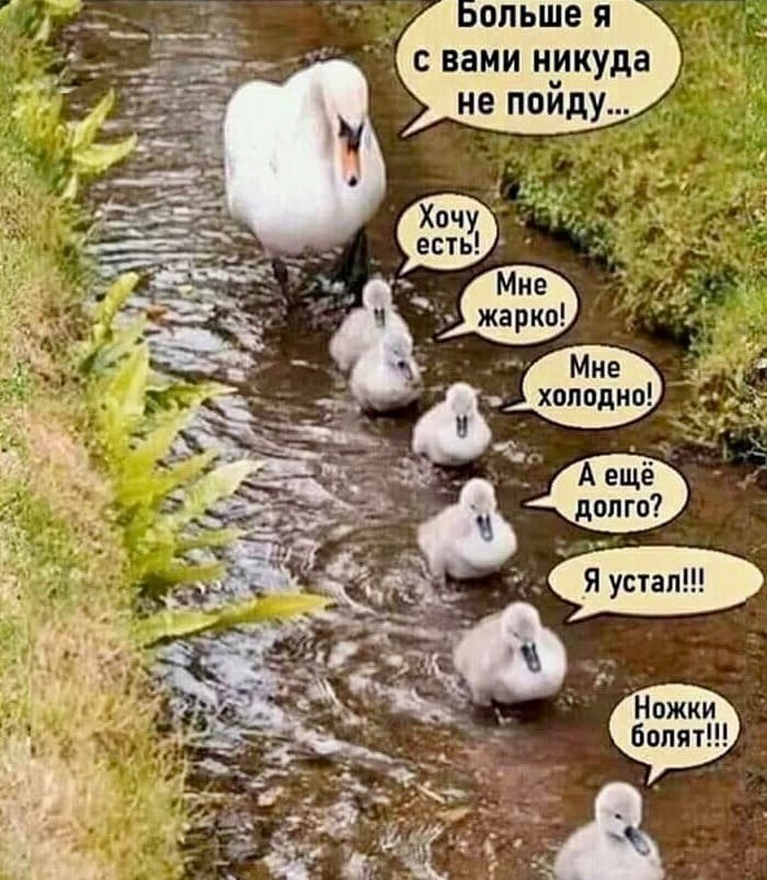 Ox y a a . C ea eo, o o ce ae e