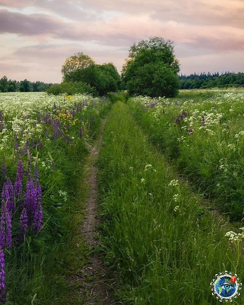 aтчинa. Лeнингpaдcкaя oблacть.Этот удивительный мир