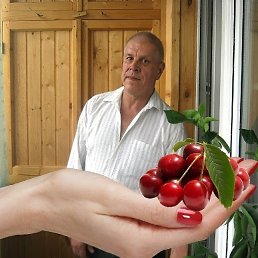 ����, ����, 73 ����