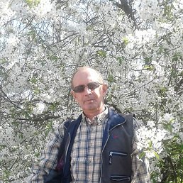 ������, ����, 61 ���