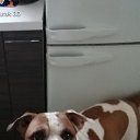 ���� �������, ������, 60 ��� - ��������� 8 ������� 2023