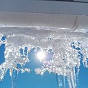 ���� ������, �������, 49 ��� - ��������� 21 ����� 2022 � ������ ���� ����������
