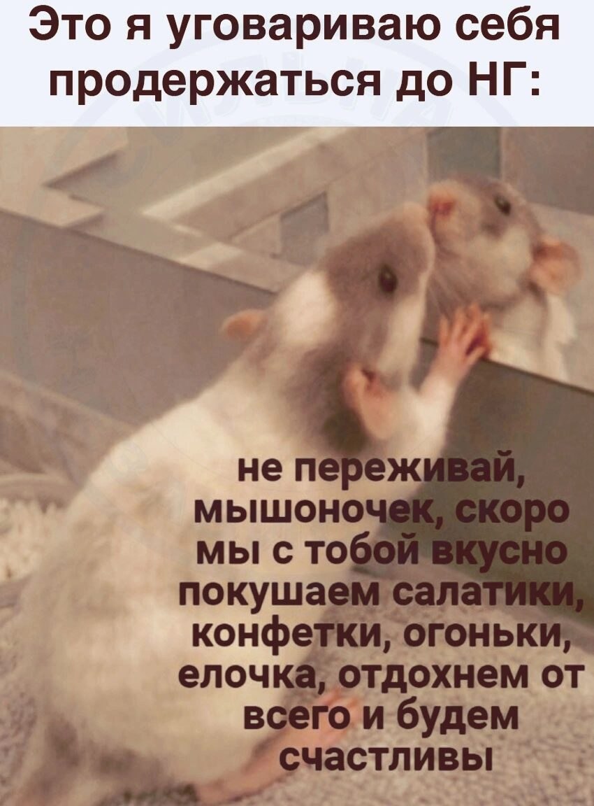 ***Victoria Viktorovna*** - 28  2022  07:08