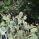 ���� ����, �������, 55 ��� - ��������� 11 �������� 2022 � ������ ���� ��������, ��� ��������...�