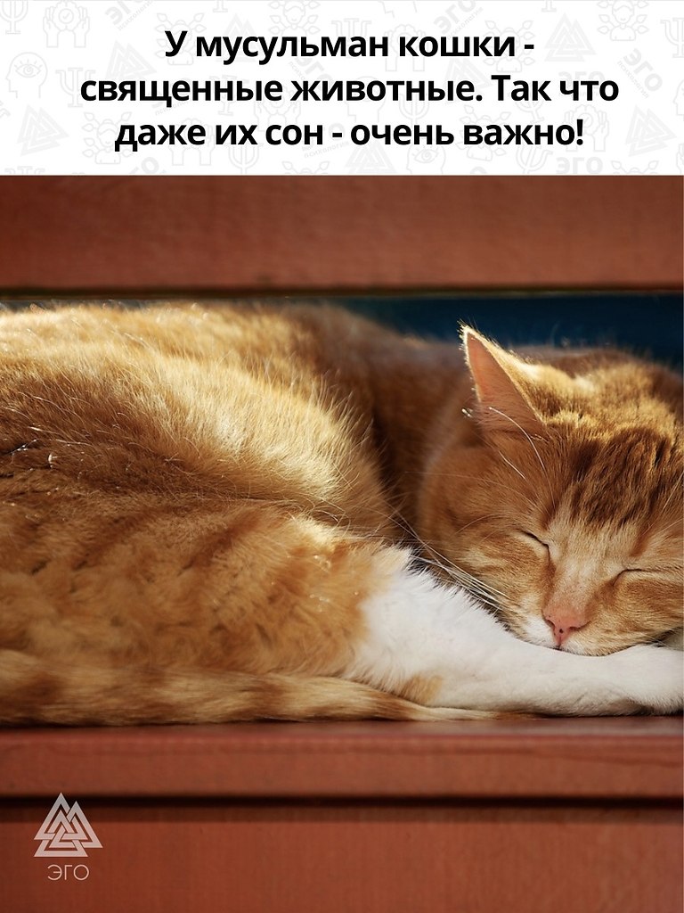  ,   - 3