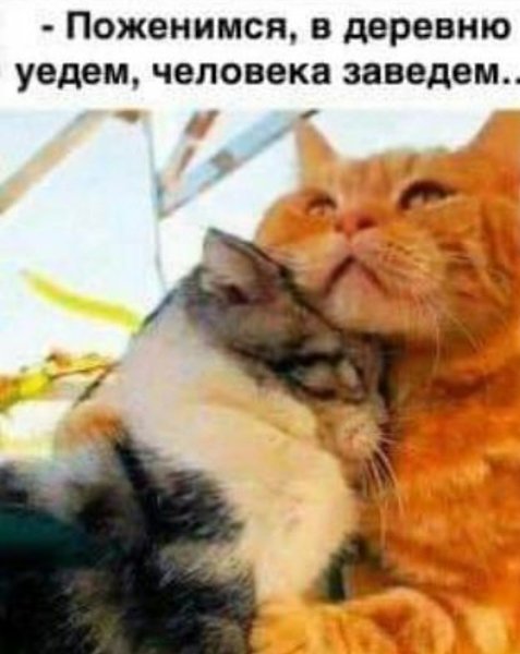 *T���* - 13 ����� 2022 � 18:56