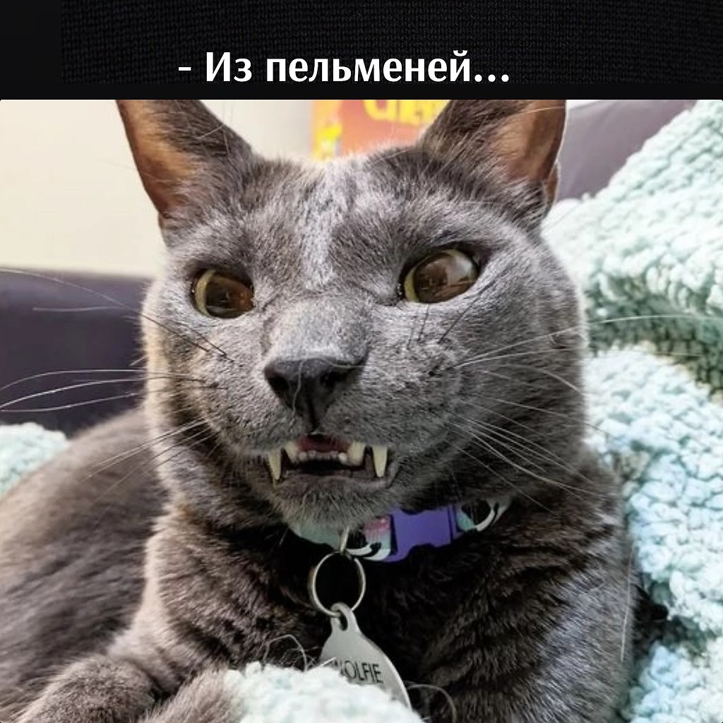       - 20  2023  09:58 - 3