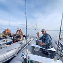 ���� ������, �����-���������, 64 ���� - ��������� 11 ������� 2022 � ������ ���� ����������