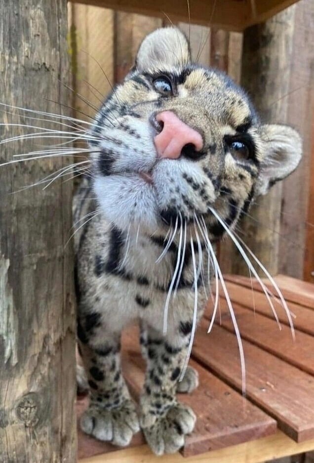  !