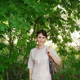 ���� �����, �����������, 44 ���� - ��������� 28 ������� 2022