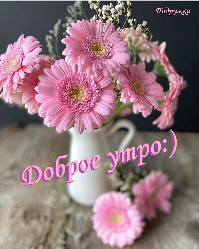   ,    . - 25  2022  11:59