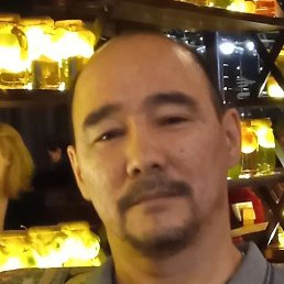 �����, �������, 49 ���