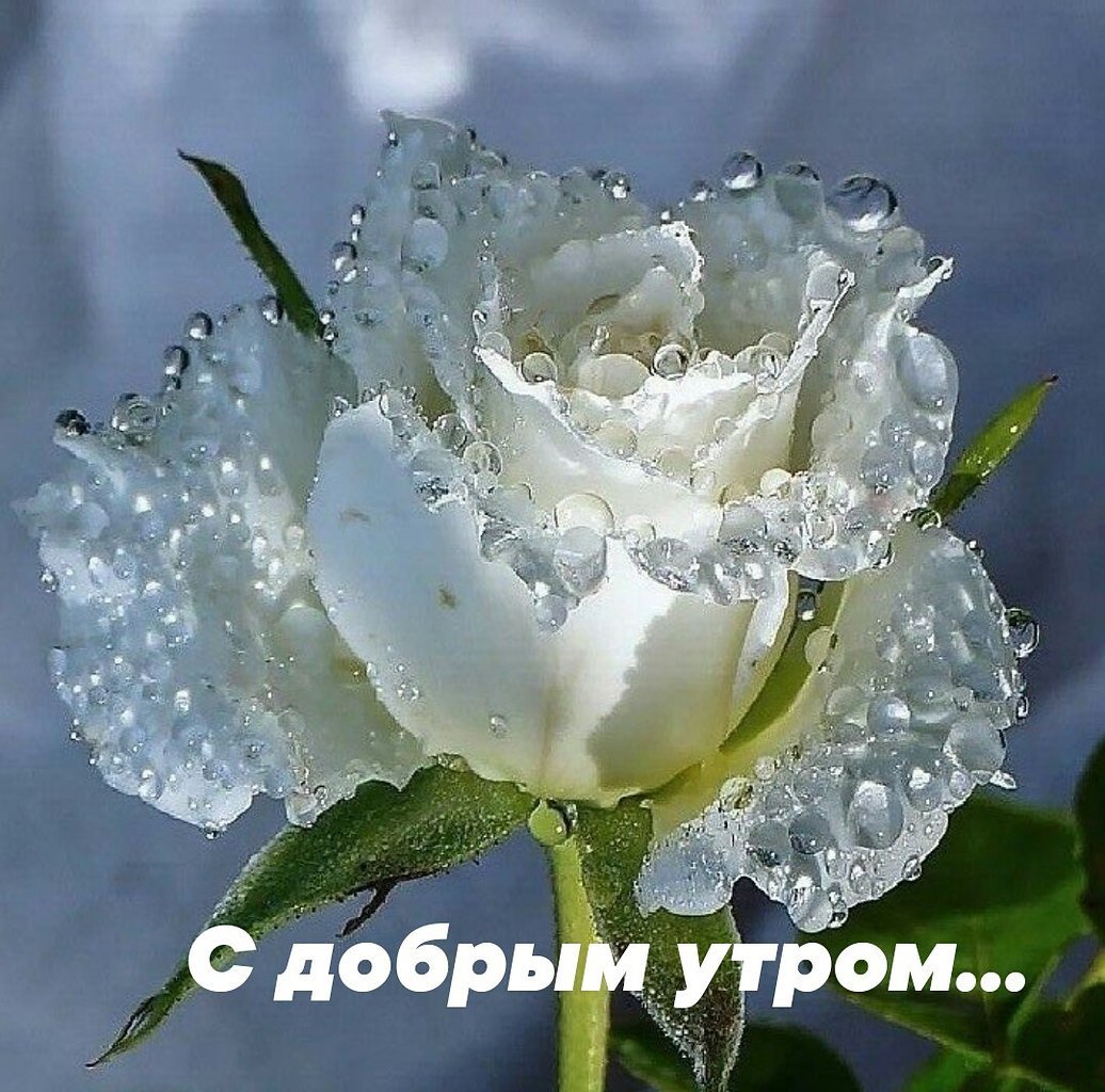 !!! ....    ,)))) )) - 2