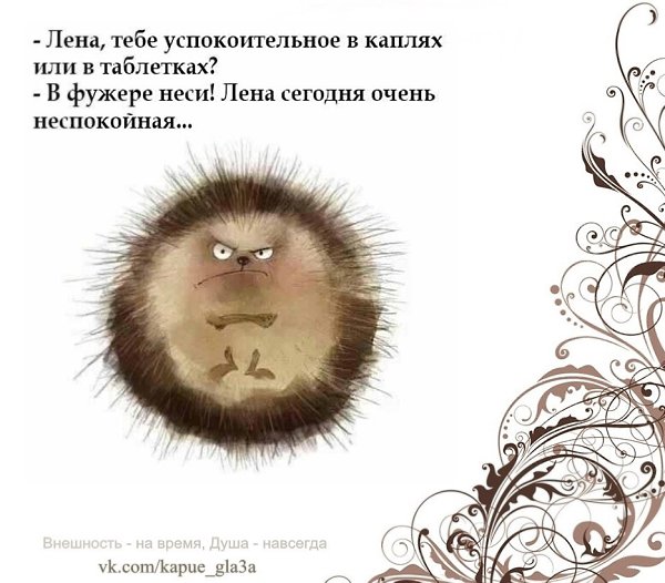   -  ,  -  - 1  2022  23:23