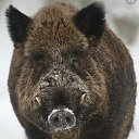 ���� ������, �������, 48 ��� - ��������� 22 ������� 2022 � ������ ���� ����������