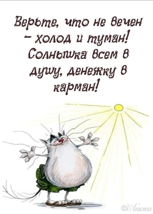   ,    . - 6  2022  16:16
