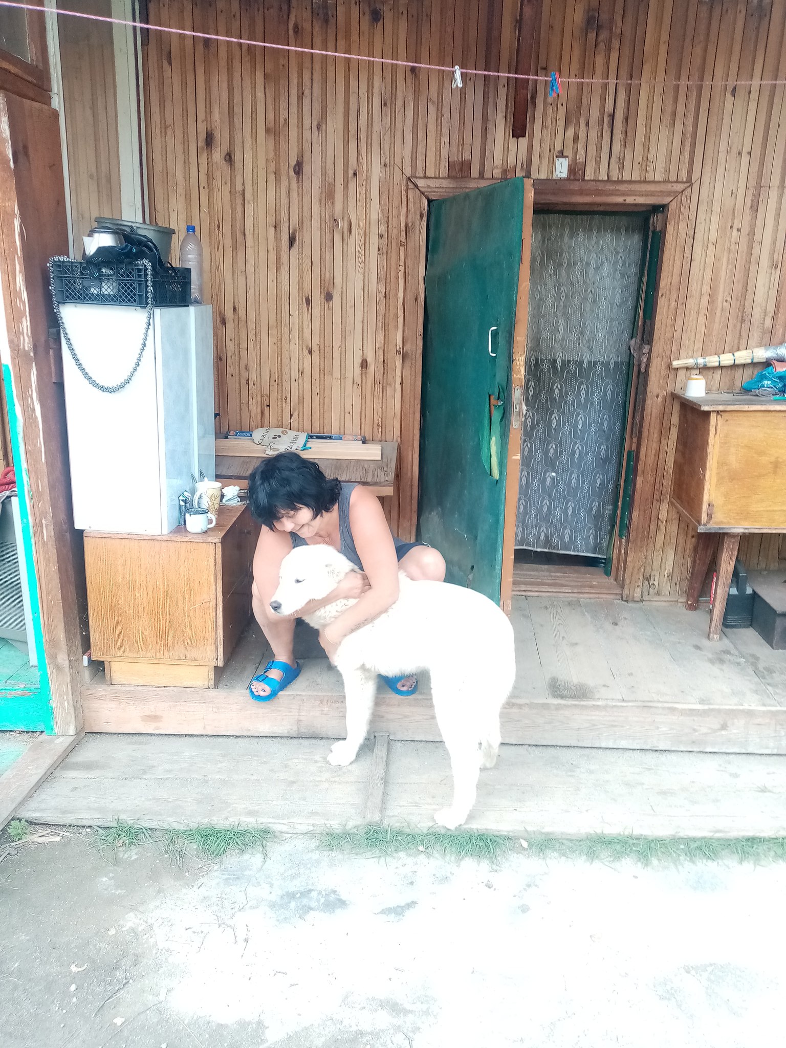 ***Victoria Viktorovna*** - 4  2022  10:28 - 3