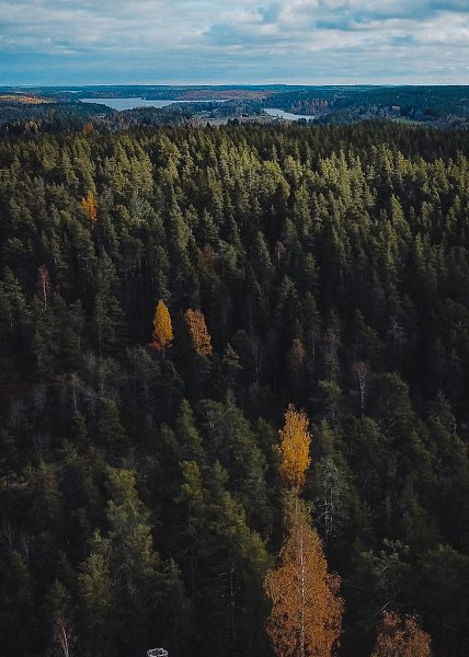 ���������� �������. ����������� ������� �������. - 2