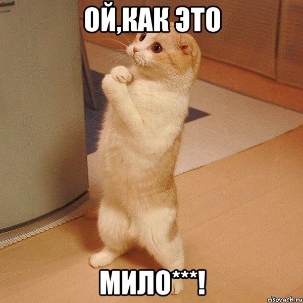   ,   .    ,      . - 3