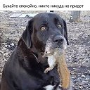 ���� �����, ����, 45 ��� - ��������� 17 ������� 2023 � ������ ���� ����������