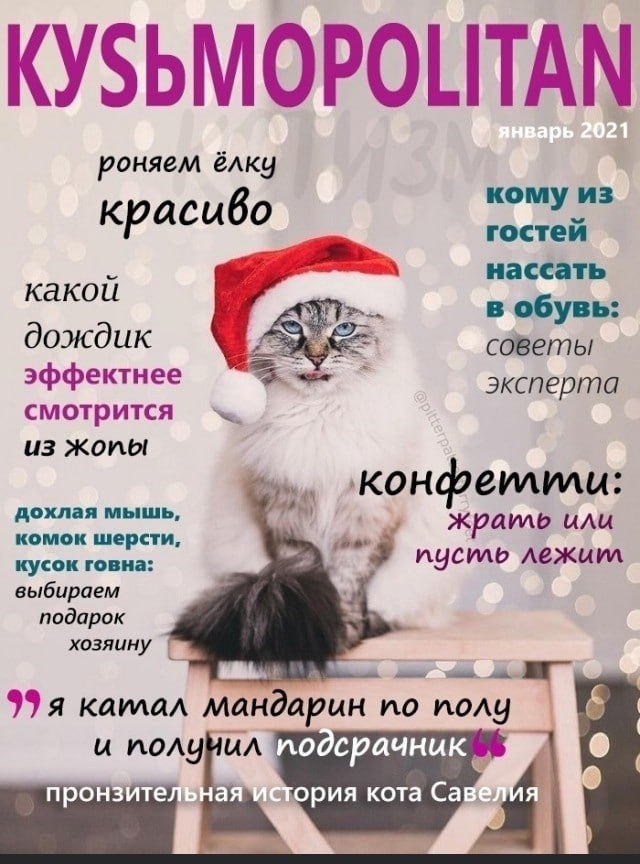  - 16  2022  21:32