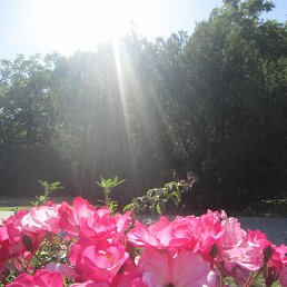 ���� ����, ����� - ��������� 18 ���� 2022