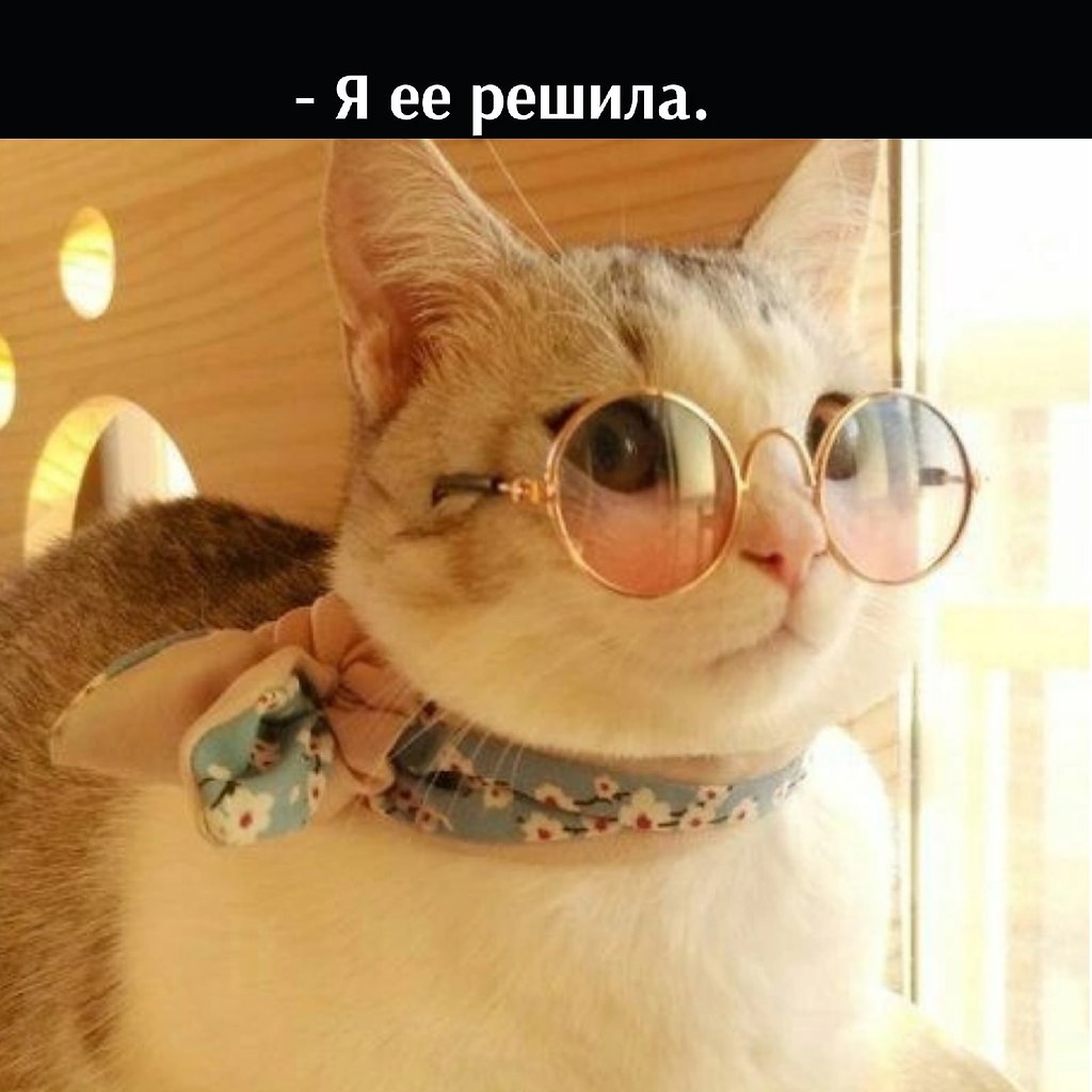       - 23  2022  13:24 - 2