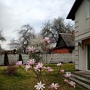 ���� Oleg, ������, 54 ���� - ��������� 7 ��� 2022 � ������ ���� ����������