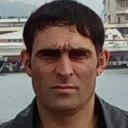 Elman, ���������, 40 ���