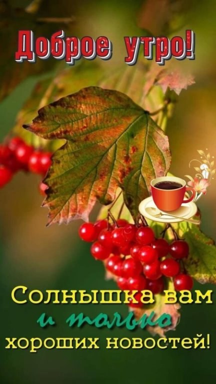 ***Victoria Viktorovna*** - 8 ����� 2022 � 04:31