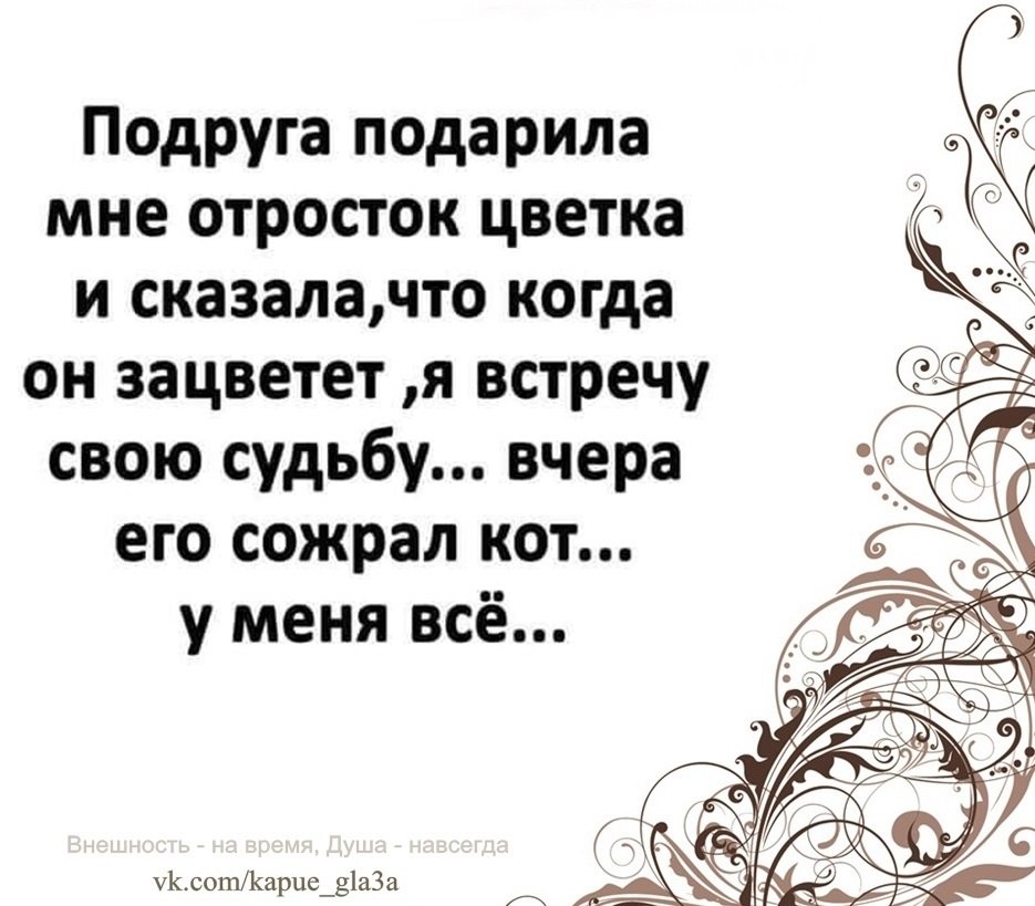   -  ,  -  - 29  2022  17:53