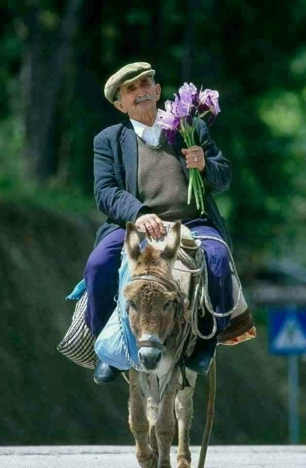 :)    !   ?)))