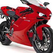 �����, 43 ����, �����-���������