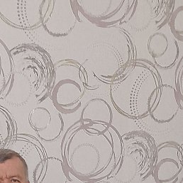 �����, �������, 55 ���