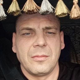 �����, ��������, 44 ����